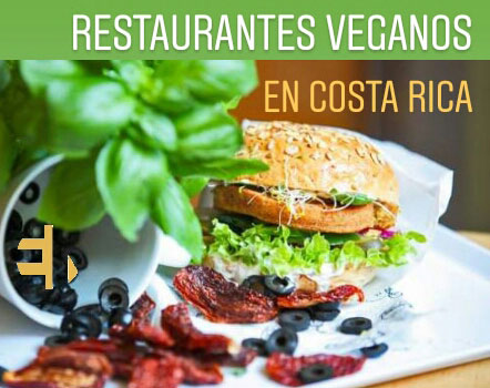 Restaurantes Veganos en Costa Rica